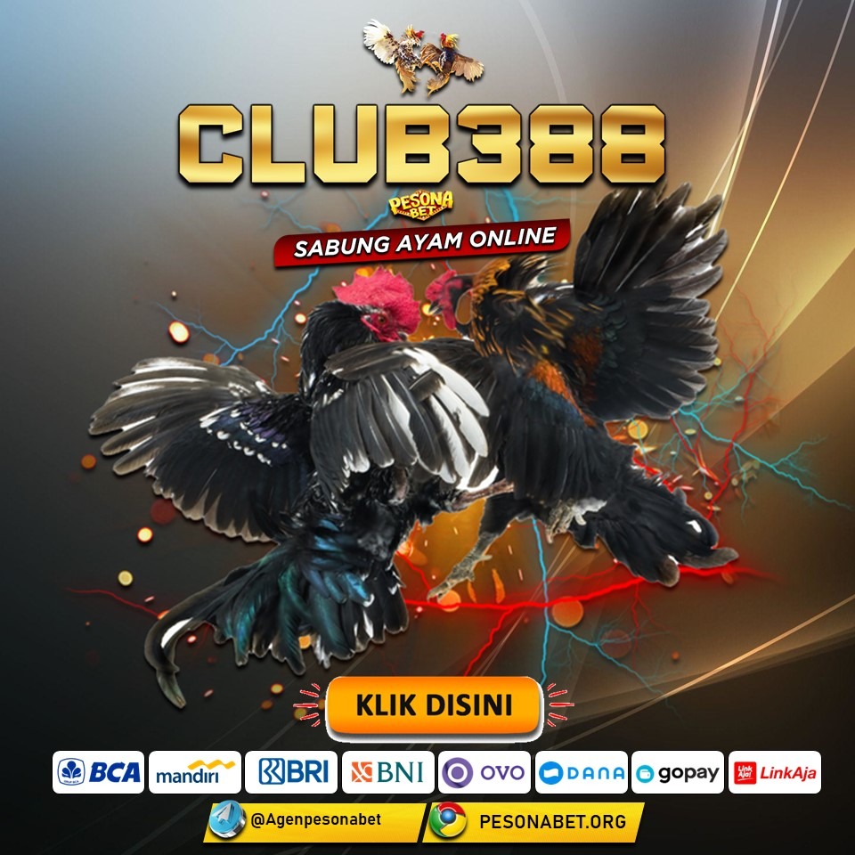 CLUB388 | SABUNG AYAM ONLINE