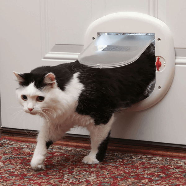 Effective Cat Doors for Moving Kitties - Habitat Haven