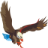 Uttarakhand News - Latest Updates and Breaking News | The Hawk