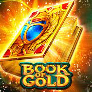 Book Of Gold